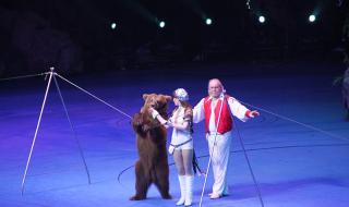 马戏团马戏表演公司一 马戏团马戏表演公司一